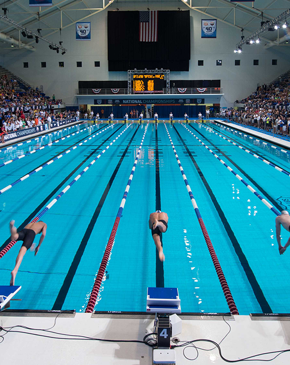 https://www.rastegar.fr/wp-content/uploads/2025/06/swim-1.png